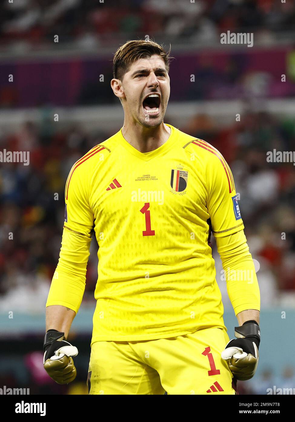 ALRAYYAN Belgium goalkeeper Thibaut Courtois during the FIFA World