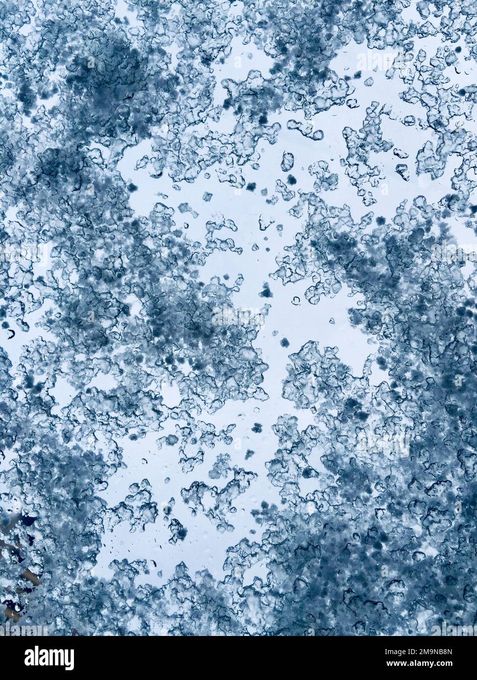 Great for textures and backgrounds - perfect background with space for your projects text or image Stock Photo