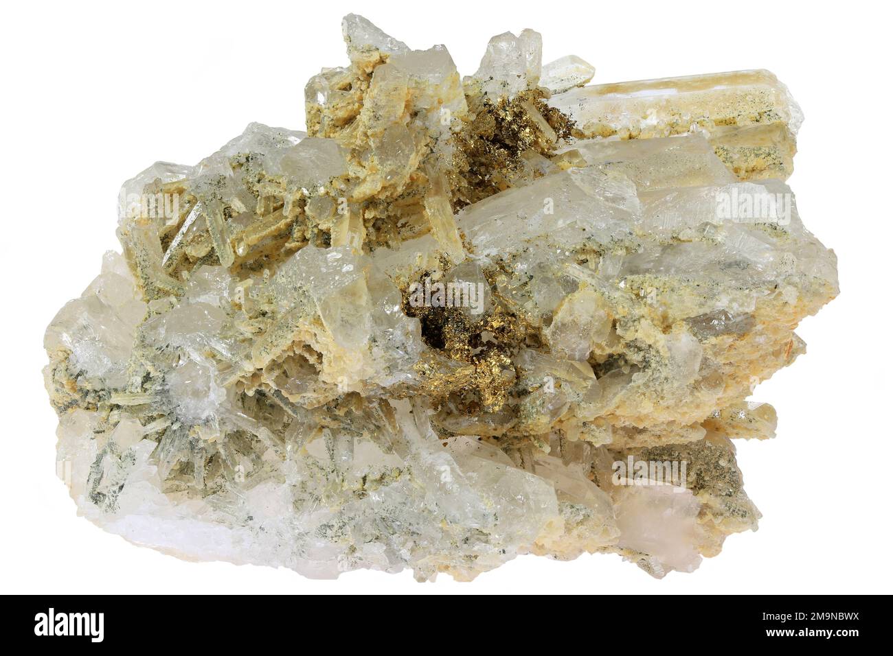 native gold on clear quartz from Eagle Mine, Colorado isolated on white background Stock Photo