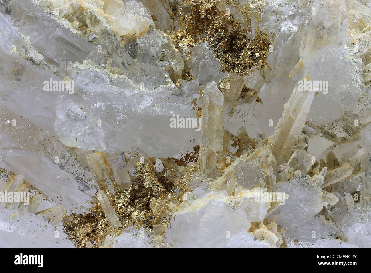 native gold on clear quartz from Eagle Mine, Colorado Stock Photo