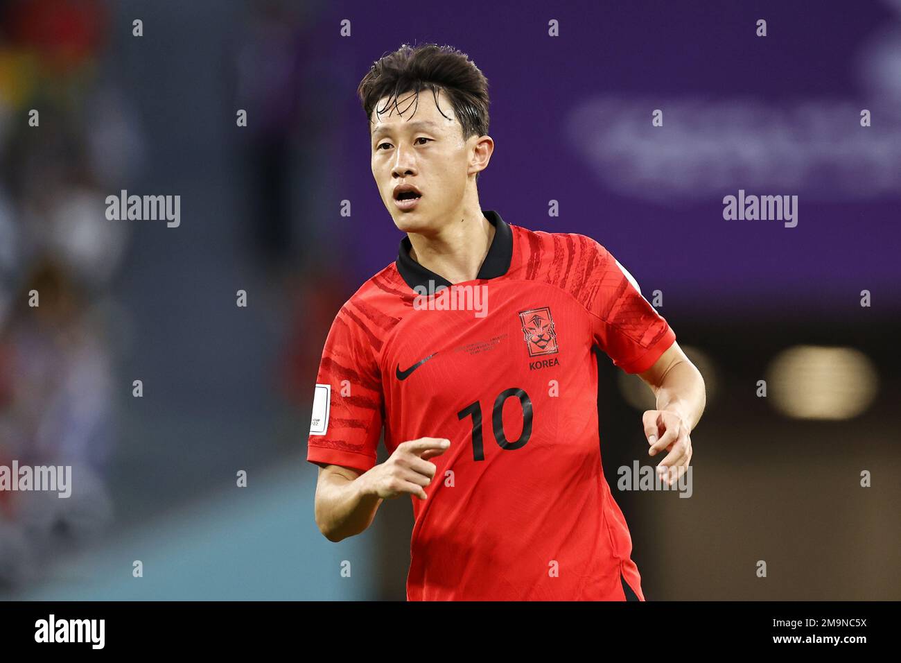 DOHA - Jae-sung Lee of Korea Republic during the FIFA World Cup Qatar 2022 group H match between Uruguay and South Korea at Education City Stadium on November 24, 2022 in Doha, Qatar. AP | Dutch Height | MAURICE OF STONE Stock Photo