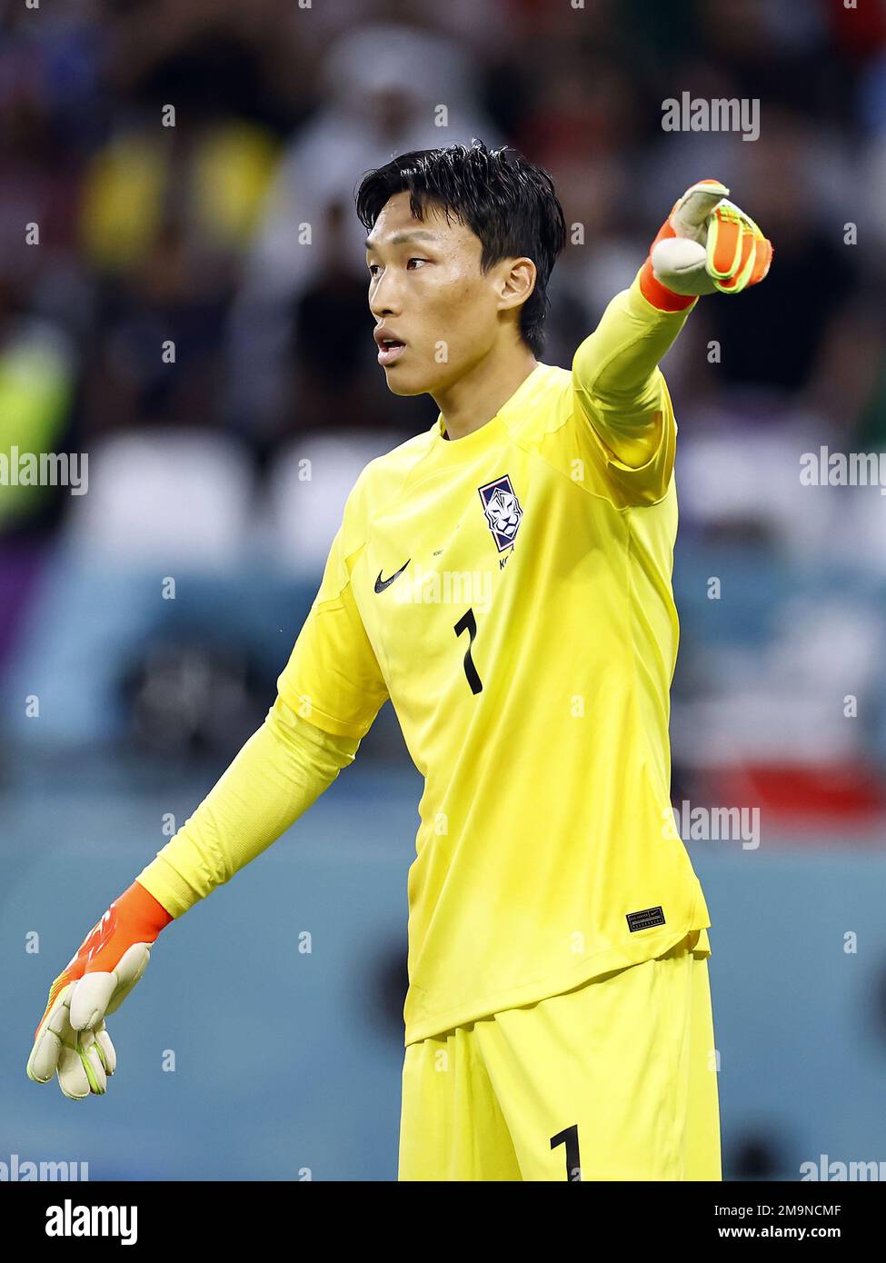 DOHA - Korea Republic goalkeeper Seung-Gyu Kim during the FIFA World ...