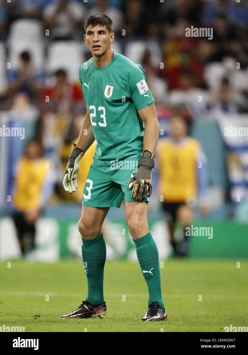 DOHA - Uruguay goalkeeper Sergio Rochet during the FIFA World Cup Qatar 2022 group H match between Uruguay and South Korea at Education City Stadium on November 24, 2022 in Doha, Qatar. AP | Dutch Height | MAURICE OF STONE Stock Photo