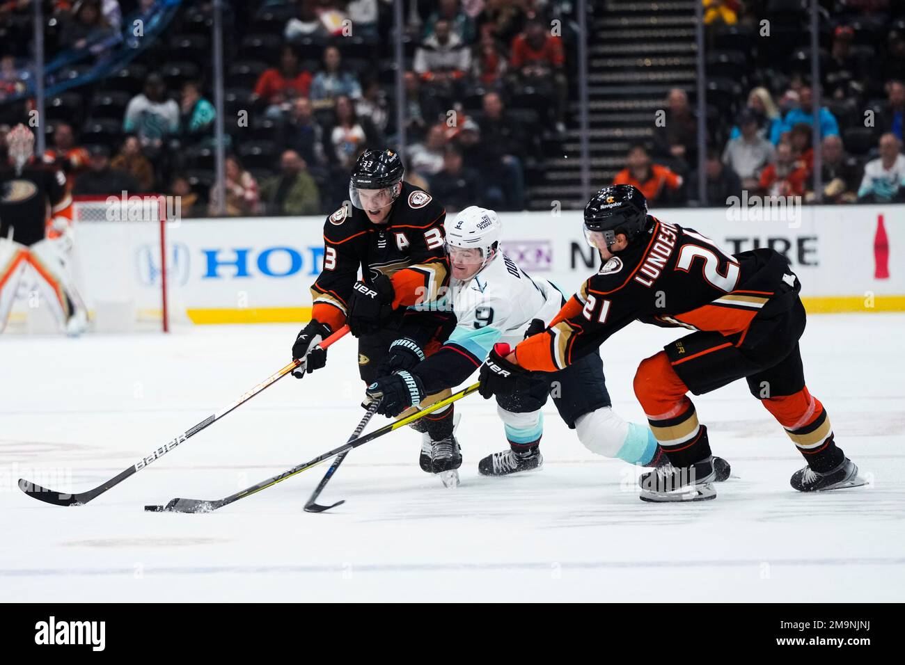 Anaheim Ducks' Trevor Zegras (11) skates during the third period of an NHL  hockey game against the Edmonton Oilers Wednesday, Jan. 11, 2023, in  Anaheim, Calif. (AP Photo/Jae C. Hong Stock Photo - Alamy