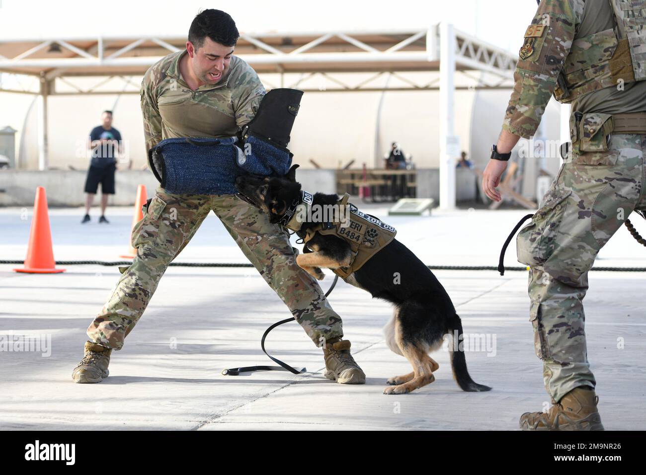 Teri, a military working dog with the 380th Expeditionary Security