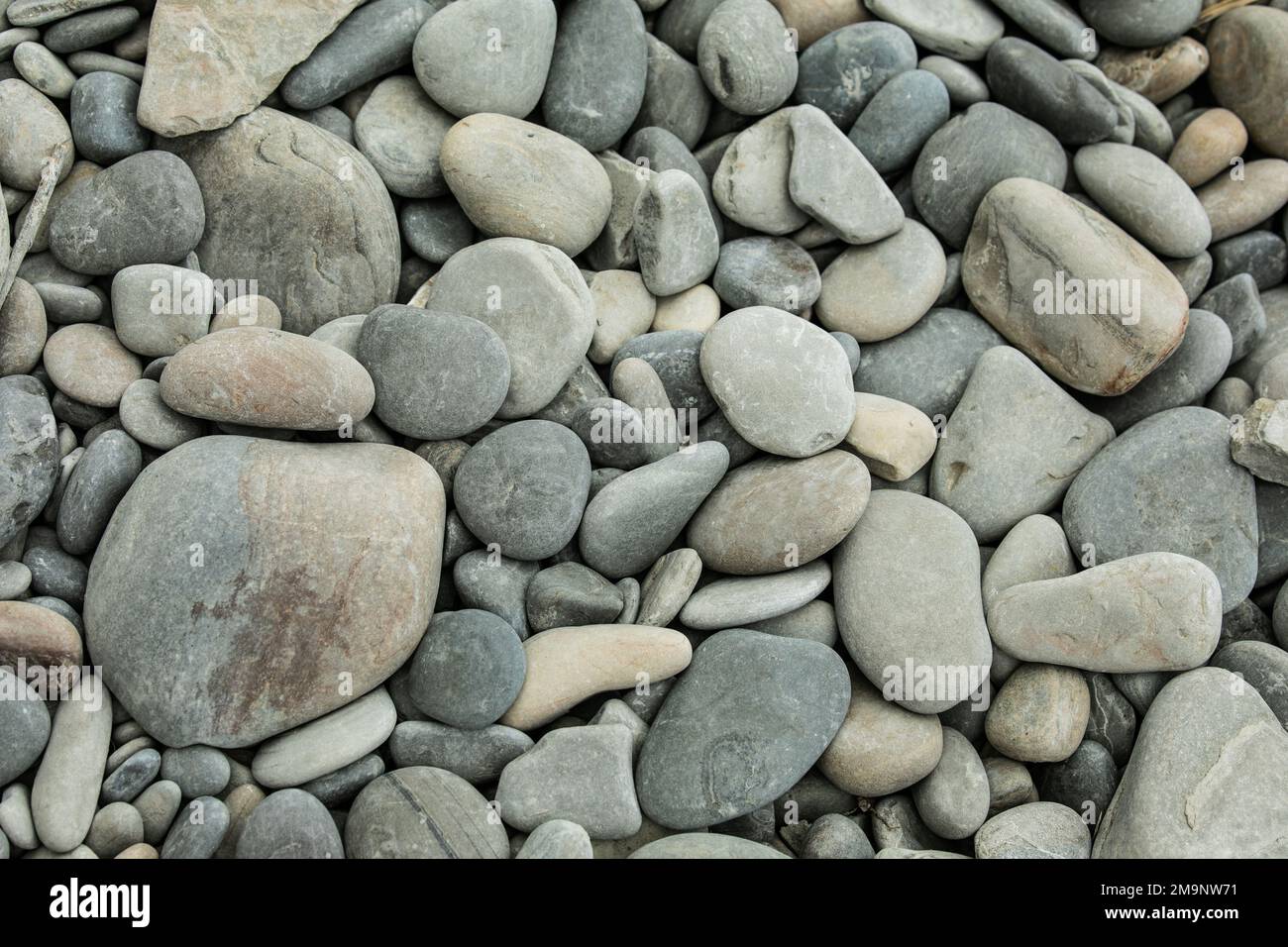 a textured beach rock background Stock Photo - Alamy
