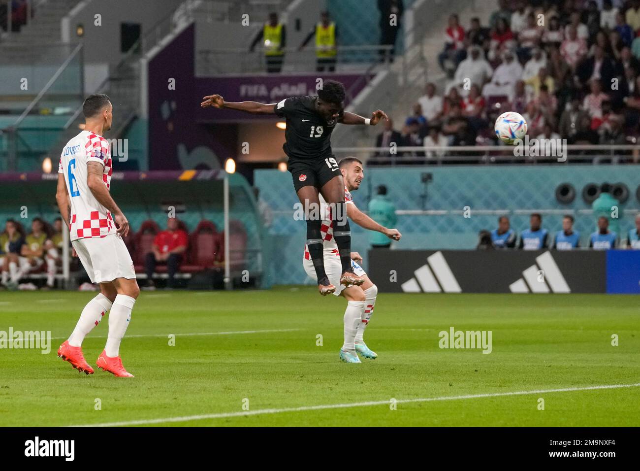 Amazing Canada Captain Alphonso Davies Available To Play Vs. Qatar After Missing World Cup Opener View in 4K Amazing Canada Captain Alphonso Davies Available To Play Vs. Qatar After Missing World Cup Opener View in 4K