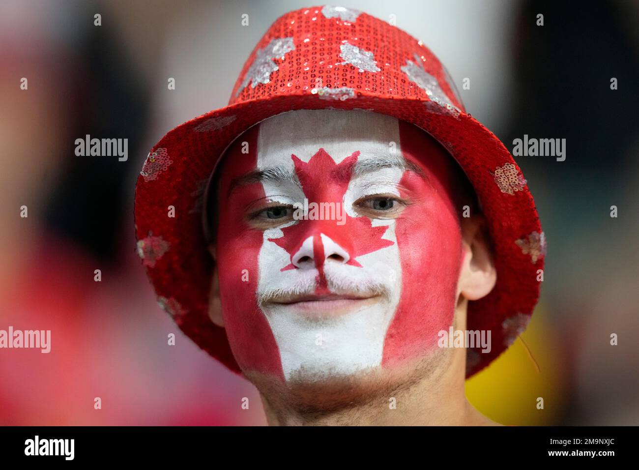 A supporter cheers before the World Cup group F soccer match between ...