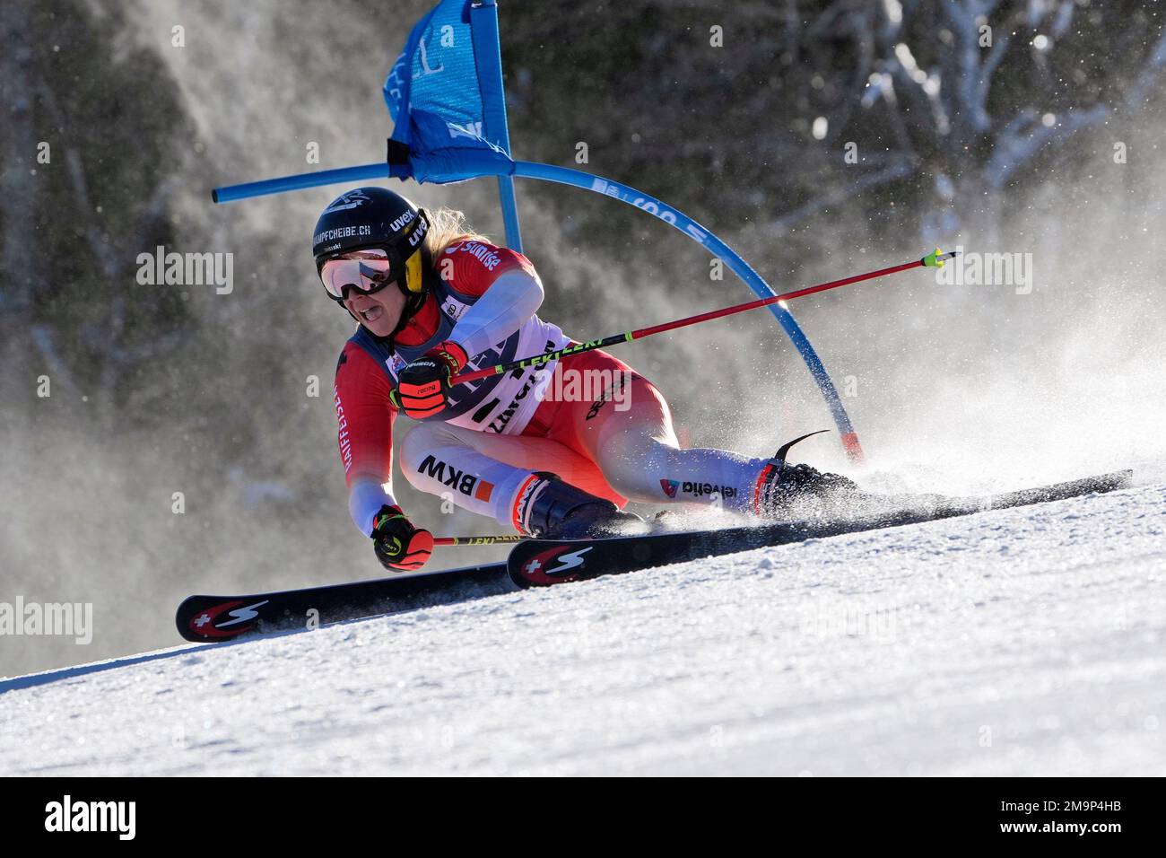 Switzerland's Andrea Ellenberger competes during a women's World Cup ...