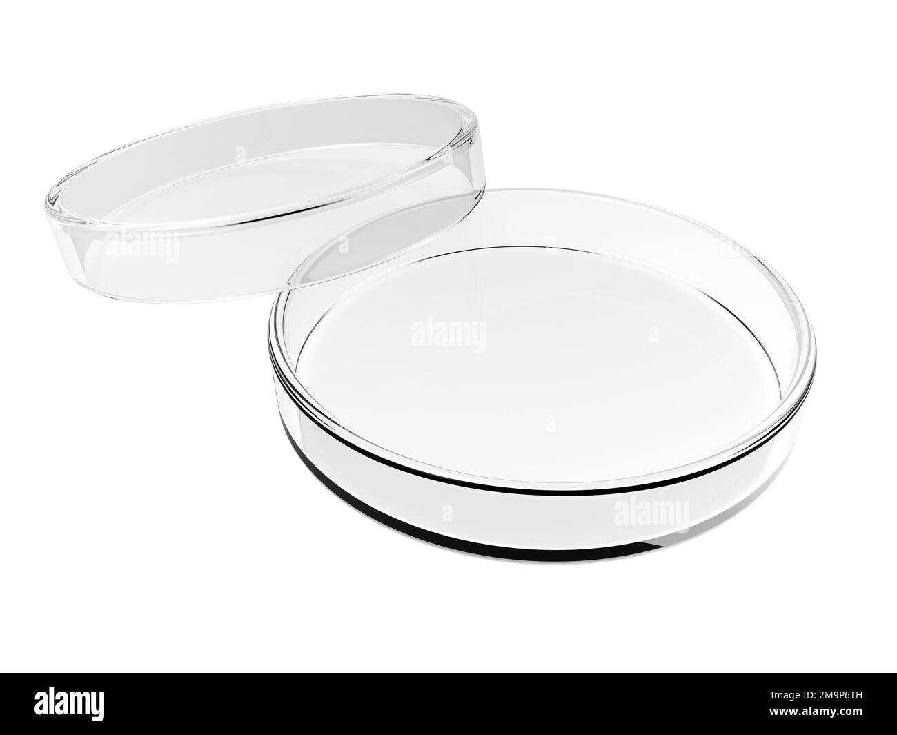 Petri dish isolated on white background. Empty. 3d illustration. Stock Photo