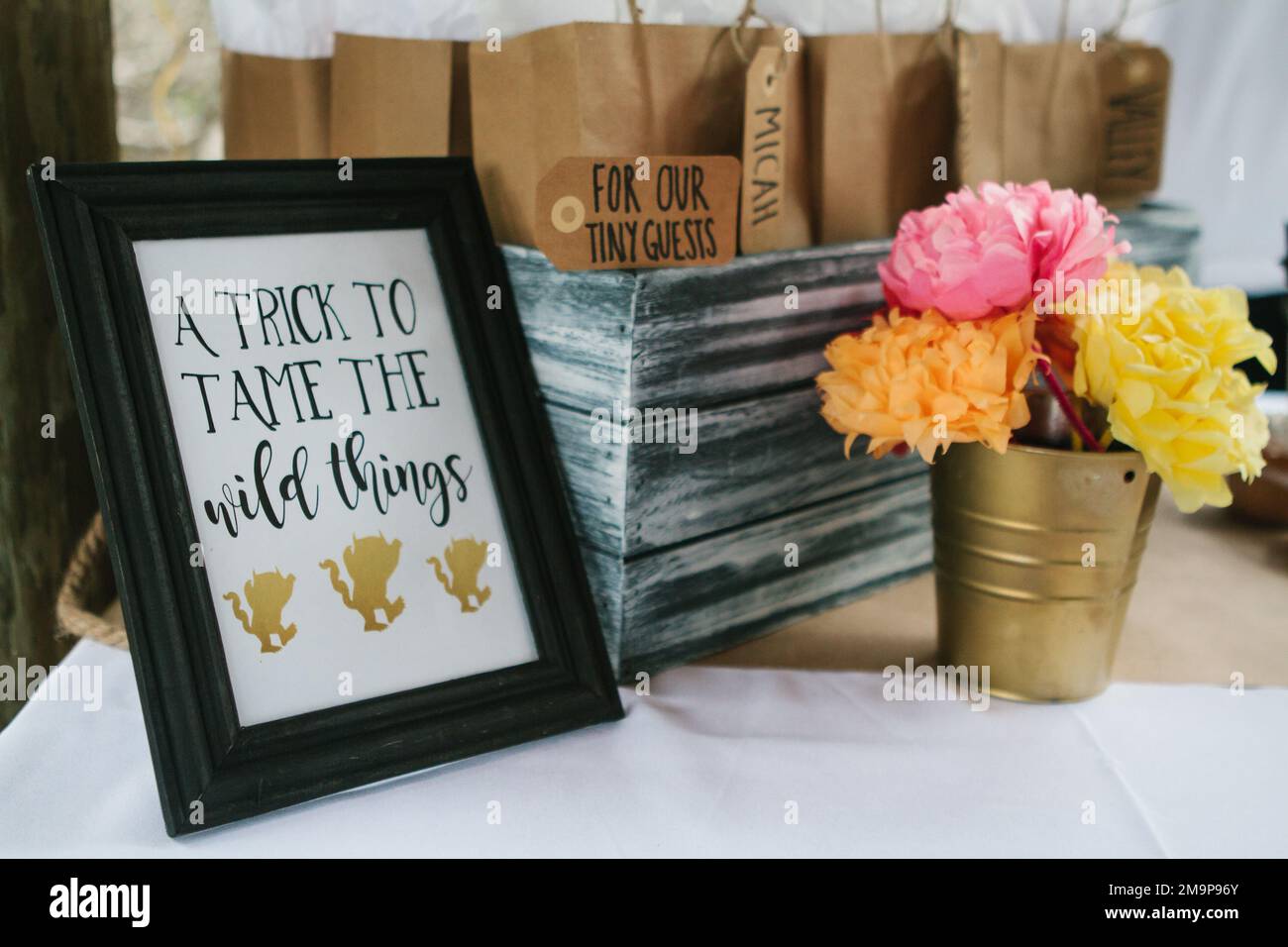 Party favor bags, tissue paper flowers, and diy sign for Where the Wild