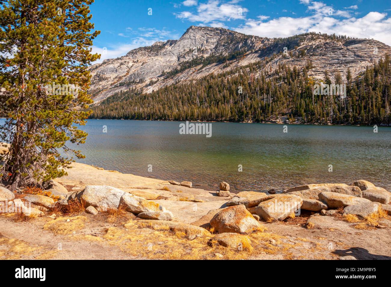 A beautiful view of the crisp waters of Tenaya Lake in Yosemite National Park beneath rocky mountainsides. Stock Photo