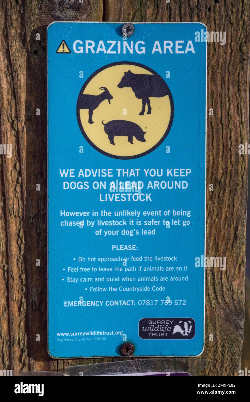 A 'Grazing Area' sign advising dog walkers to keep dogs on a lead around livestock on  Wisley Common, Woking, Surrey, UK. Stock Photo