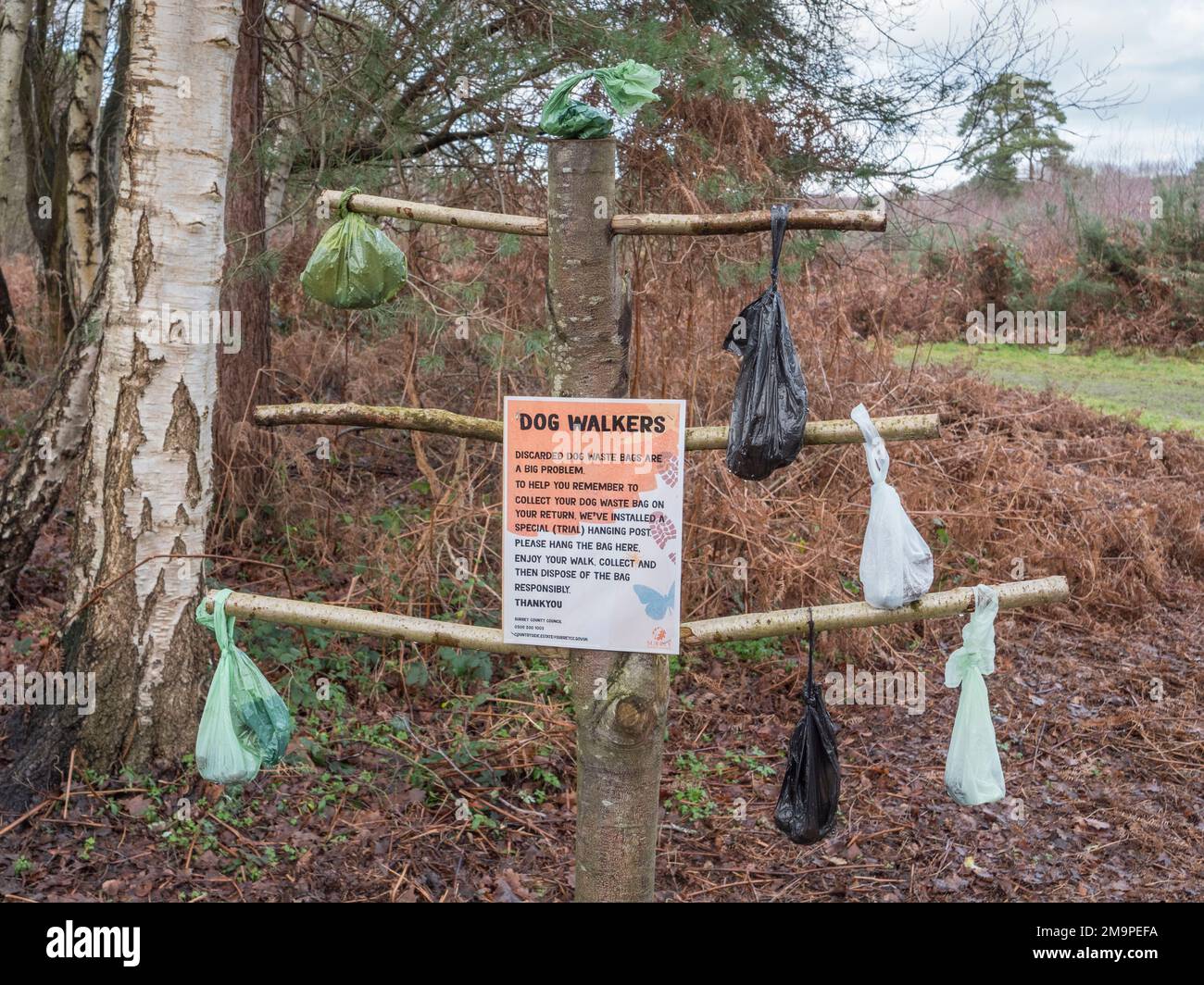 Can You Take Dogs Into Wisley