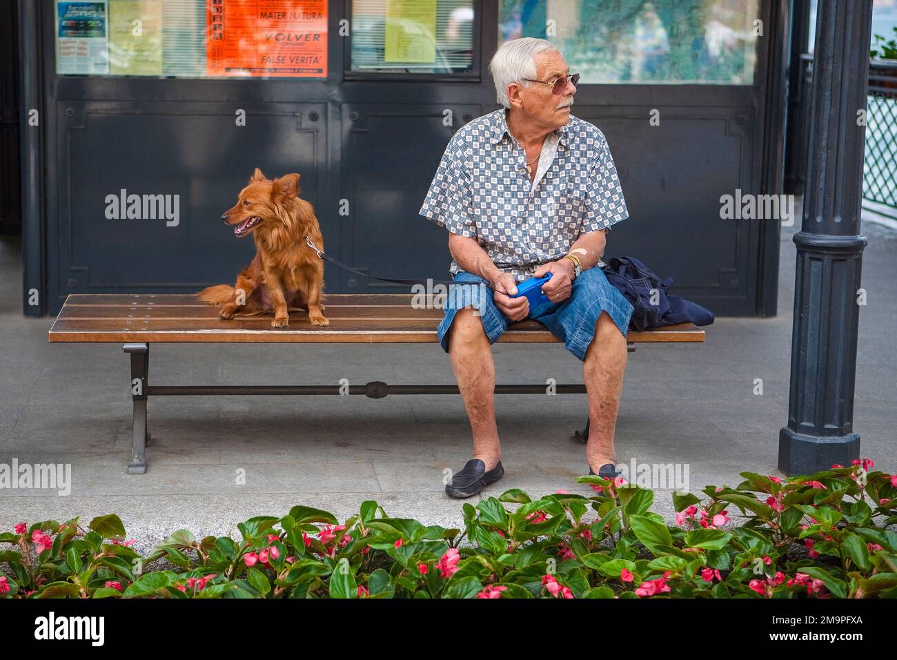 An Italian older man and his dog sit on a bench outside relaxing Stock ...