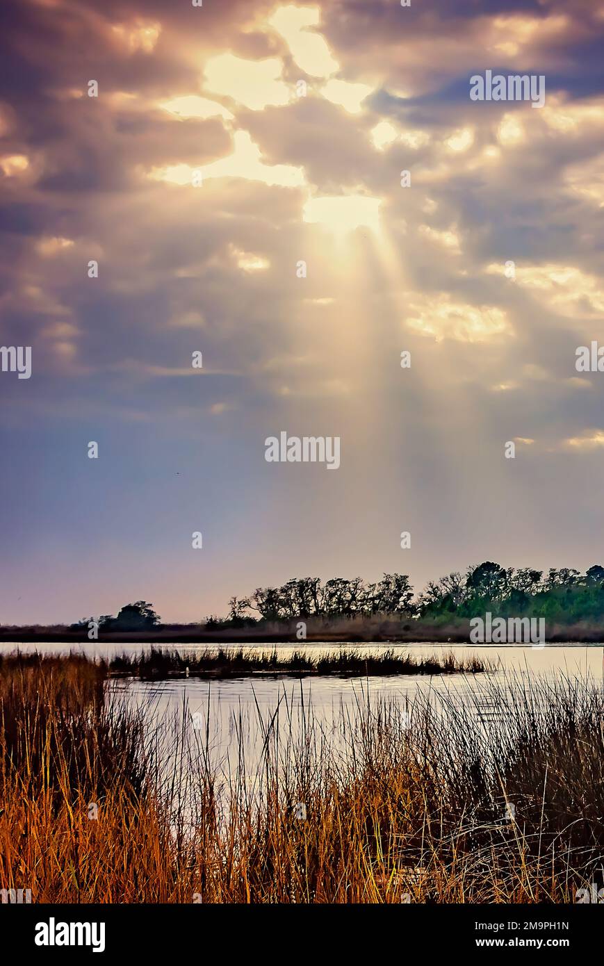 The sun sets over marsh grass, Jan. 17, 2023, in Bayou La Batre, Alabama. Coastal wetlands in the area serve as an ecologically important habitat. Stock Photo