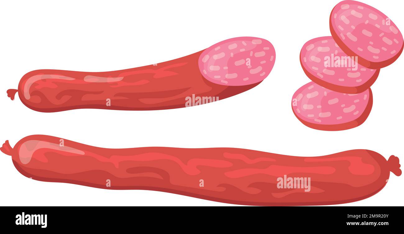 Sliced pepperoni cartoon icon. Traditional italian sausage isolated on
