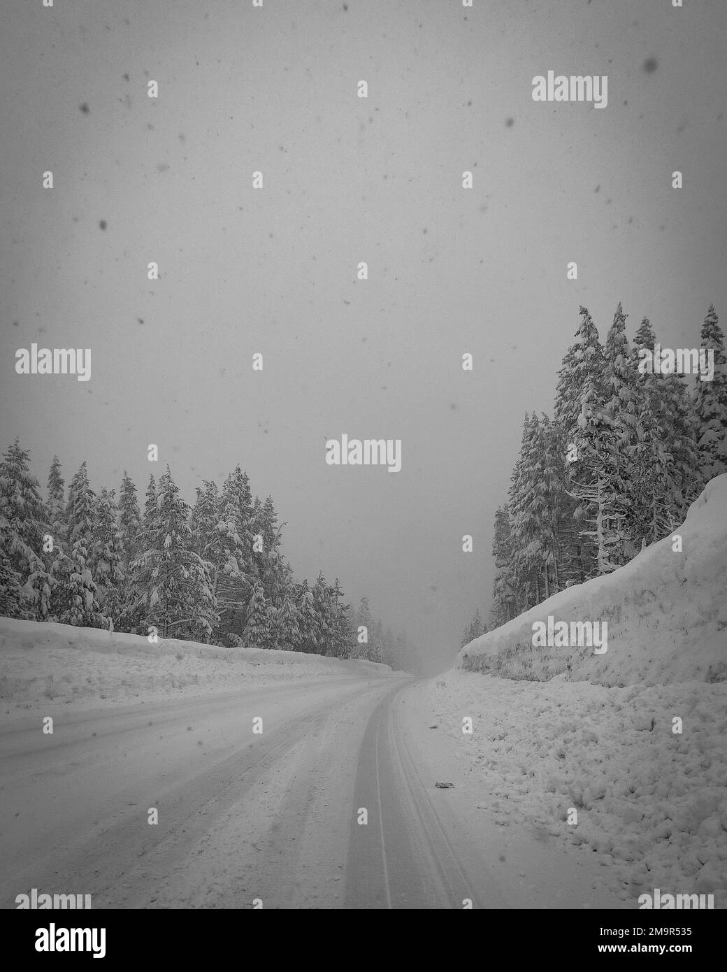 A mountain road in the Sierra Nevada Mountains of Northern California