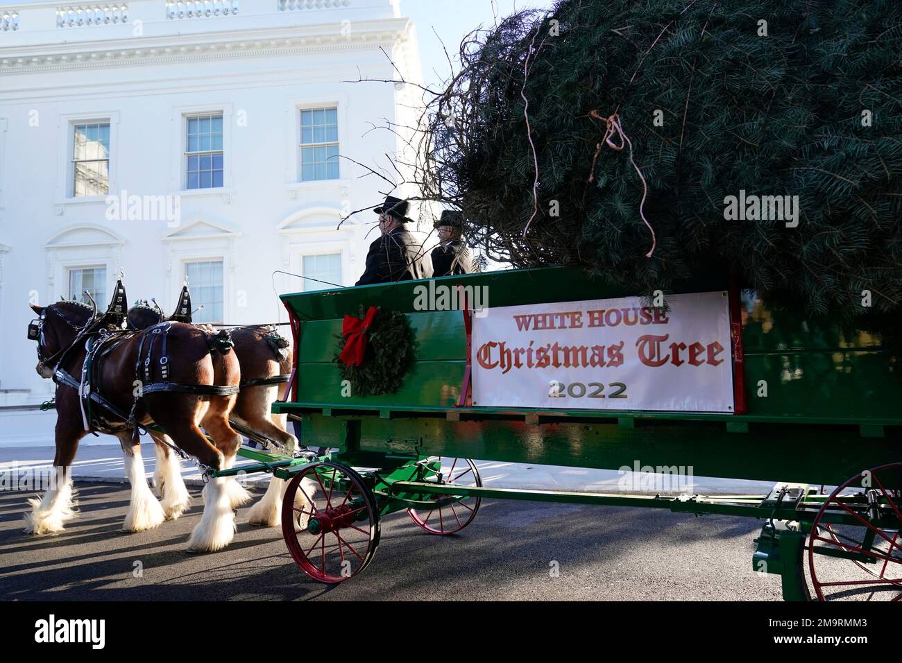 The official 2022 White House Christmas Tree arrives at the White House ...