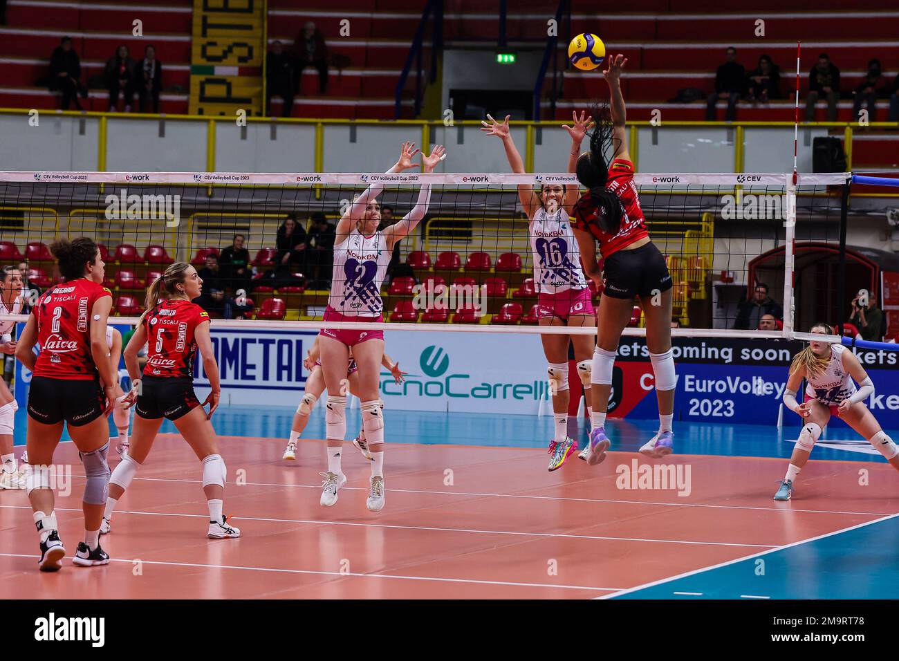 volleyball cev cup live stream