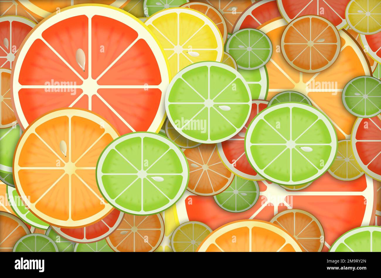 Here is an illustration showing citrus fruit slices isolated on a on a ...