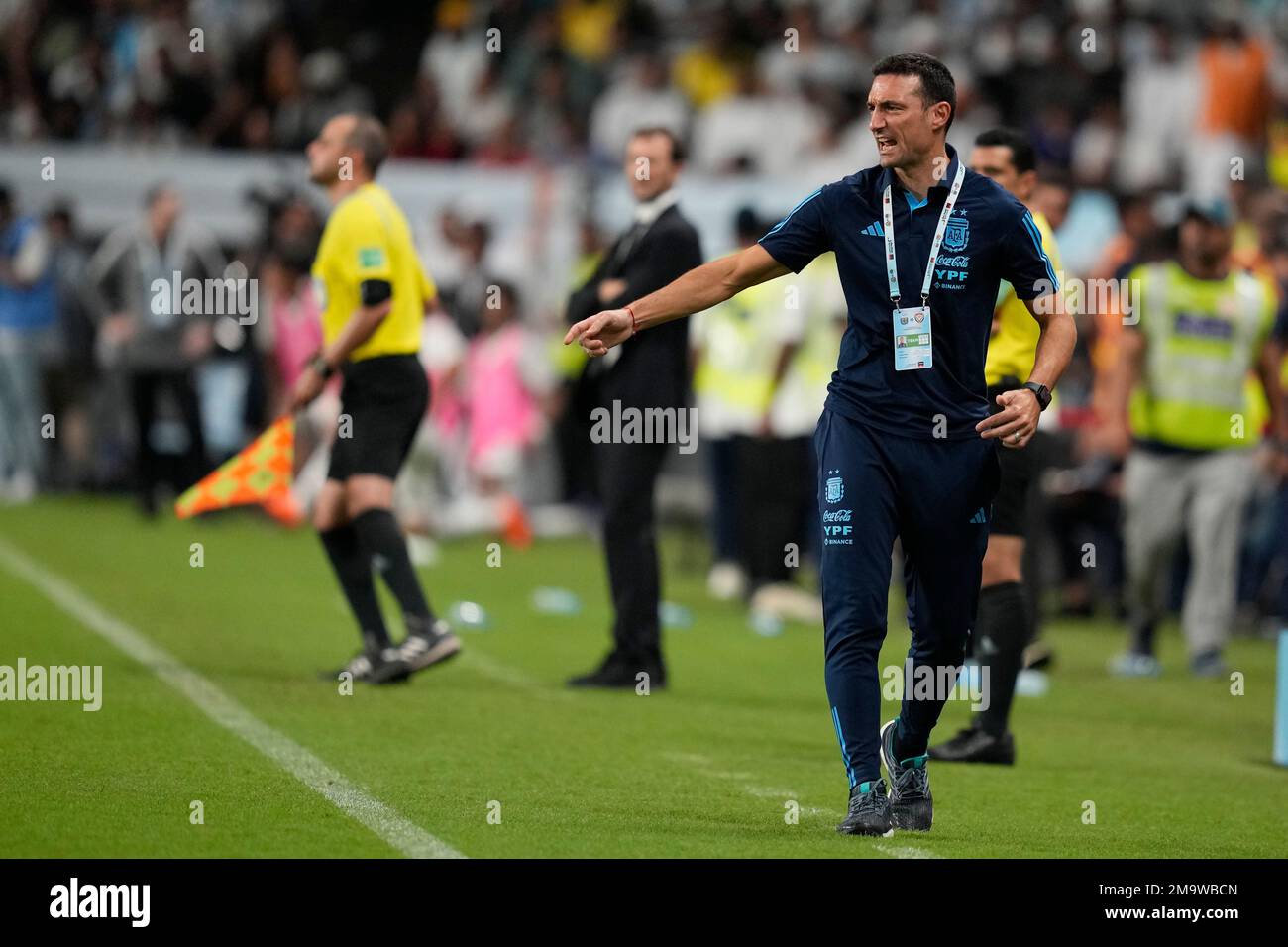Argentina's head coach Lionel Scaloni, front. Watches the game during a  friendly soccer match between Argentina and United Arab Emirates in Abu  Dhabi, Wednesday, Nov. 16, 2022. (AP Photo/Kamran Jebreili Stock Photo -