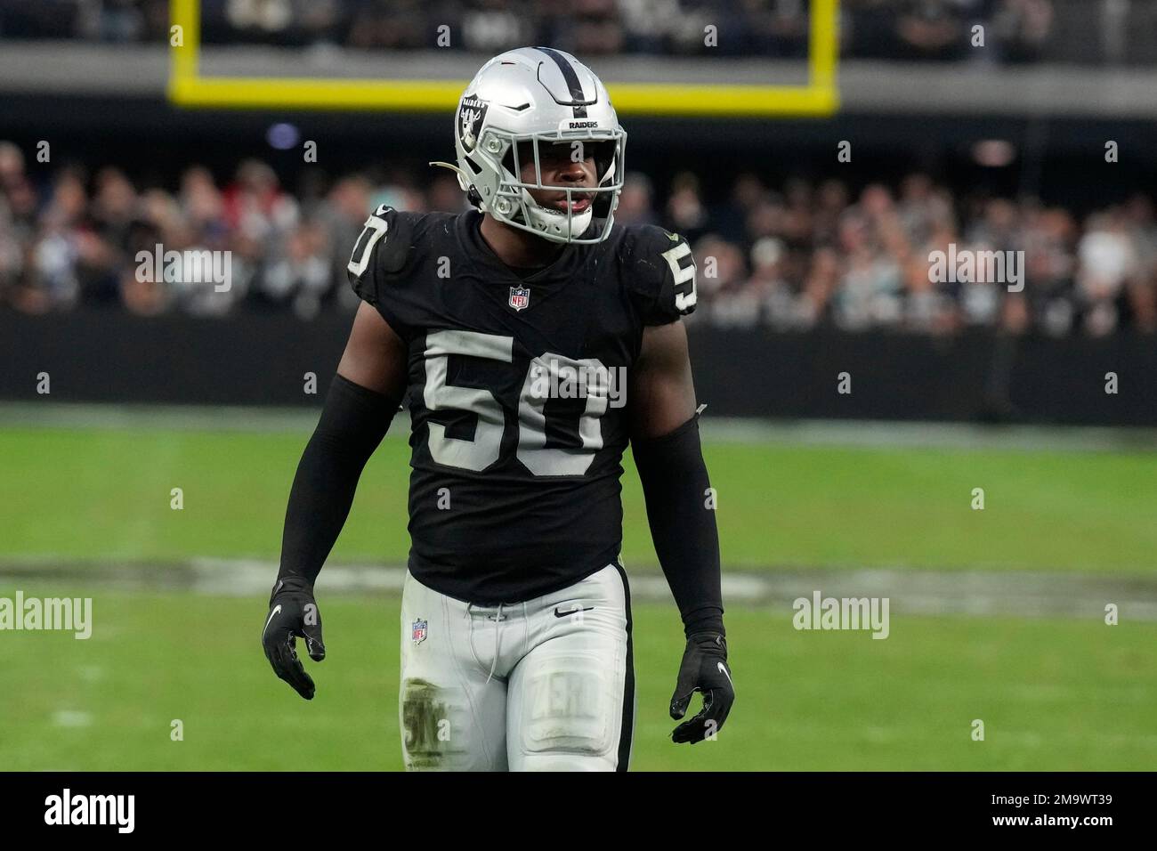 Las Vegas Raiders linebacker Jayon Brown (50) celebrates during the first  half of an NFL football game against the Arizona Cardinals Sunday, Sept.  18, 2022, in Las Vegas. (AP Photo/John Locher Stock