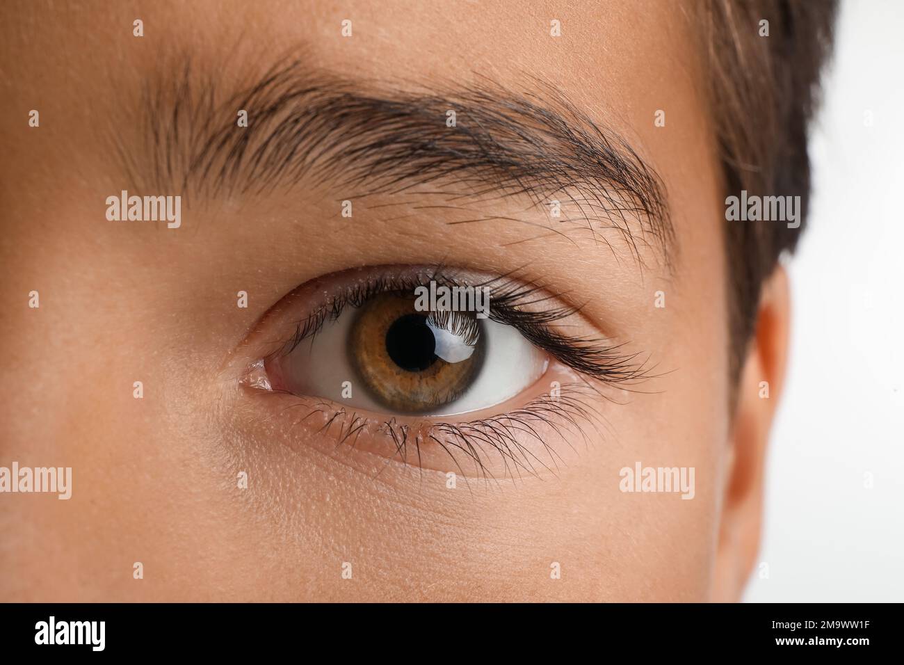 Little boy with brown eyes on white background, closeup Stock Photo Alamy
