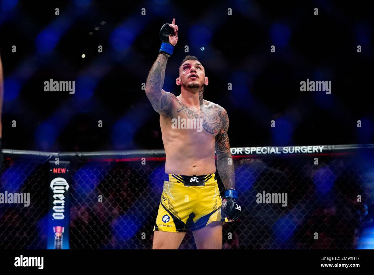 Brazil's Renato Moicano celebrates after a lightweight bout