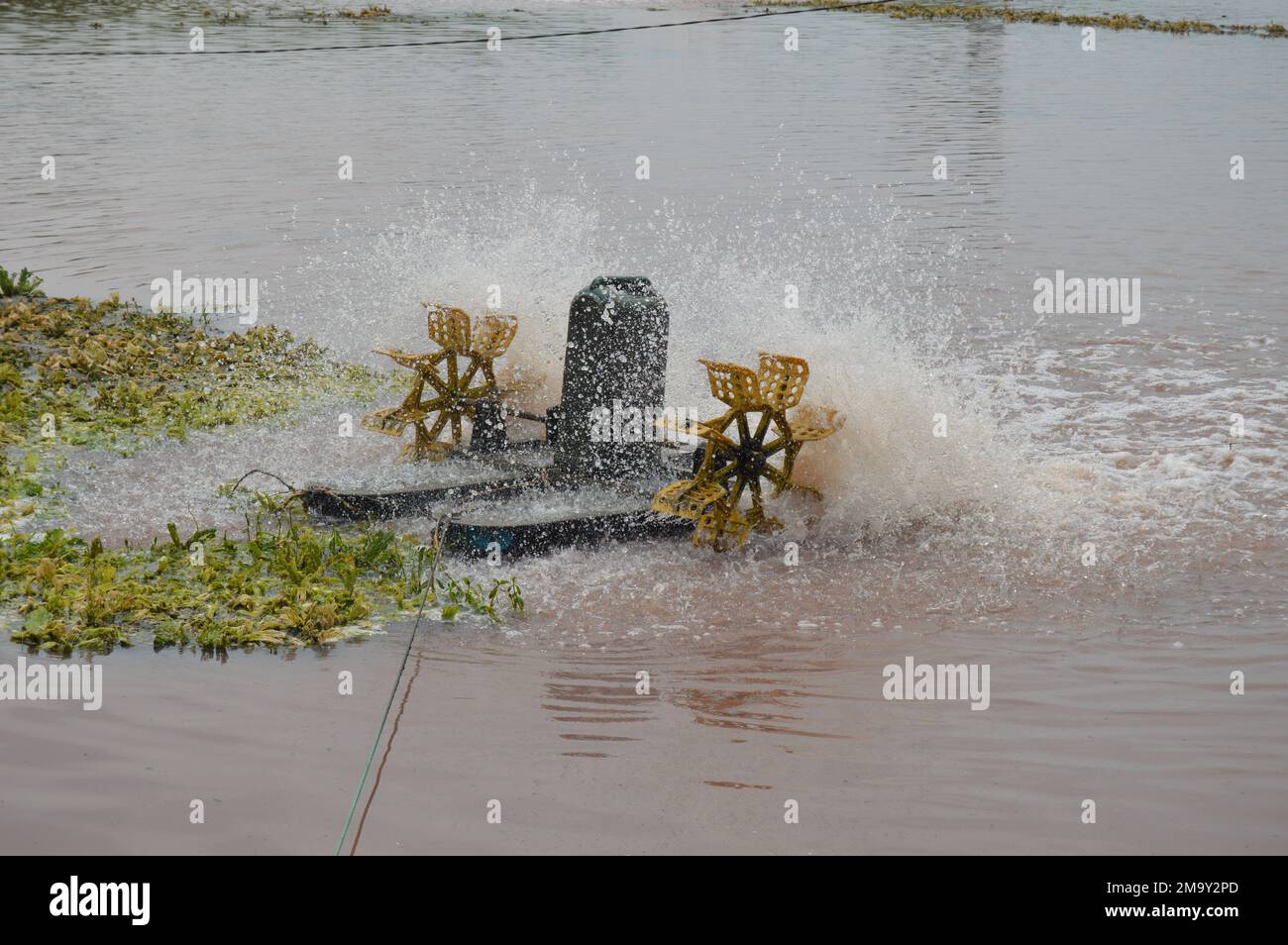 Aireadores for Shrimp Pond Paddle Wheel Aerator - China Aireadores
