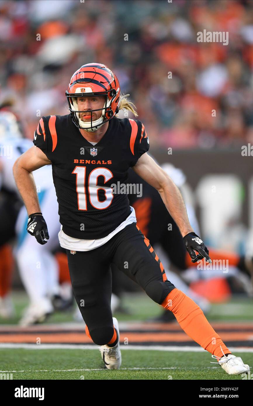 Cincinnati Bengals wide receiver Trenton Irwin (16) runs for the play  during an NFL football game against the Carolina Panthers, Sunday, Nov. 6,  2022, in Cincinnati. (AP Photo/Emilee Chinn Stock Photo - Alamy