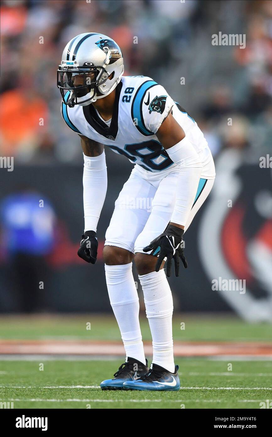 Carolina Panthers cornerback Keith Taylor Jr. (28) lines up for the play  during an NFL football game against the Cincinnati Bengals, Sunday, Nov. 6,  2022, in Cincinnati. (AP Photo/Emilee Chinn Stock Photo - Alamy