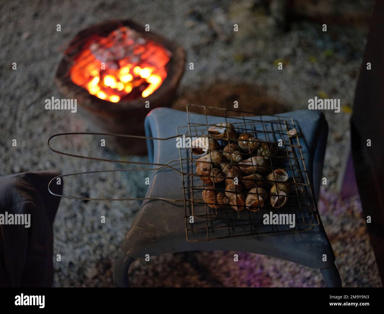 Sweet clams grilled  in steel grate with a charcoal grill. Stock Photo