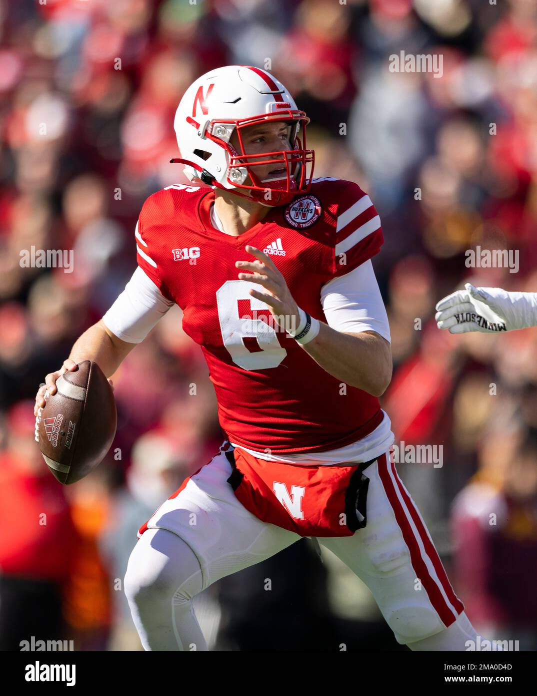 Nebraska quarterback Chubba Purdy (6) plays against Minnesota during