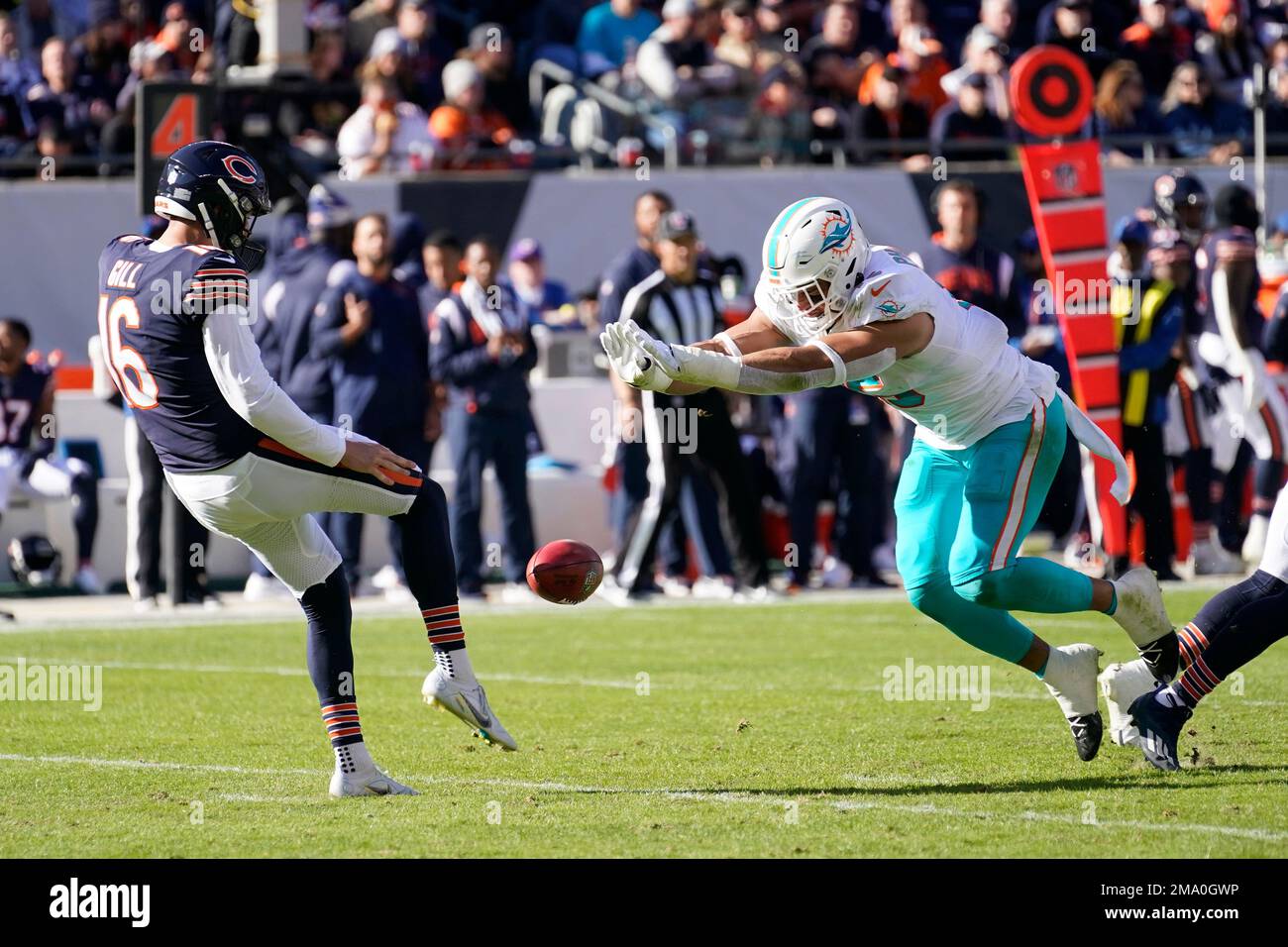 Chicago Bears punter Trenton Gill kicks during an NFL preseason