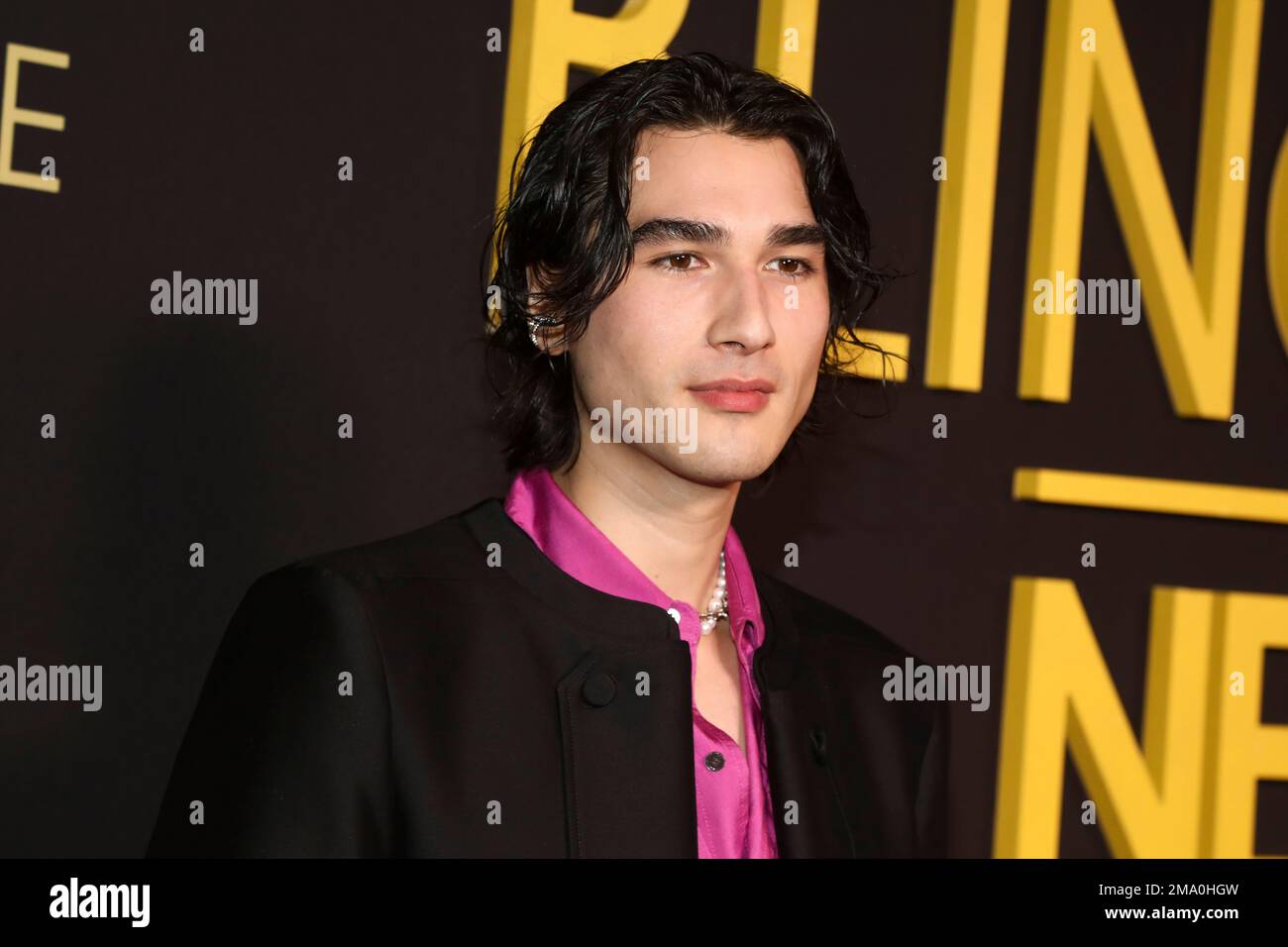 Blake Abbie attends the Netflix television series "Bling Empire New