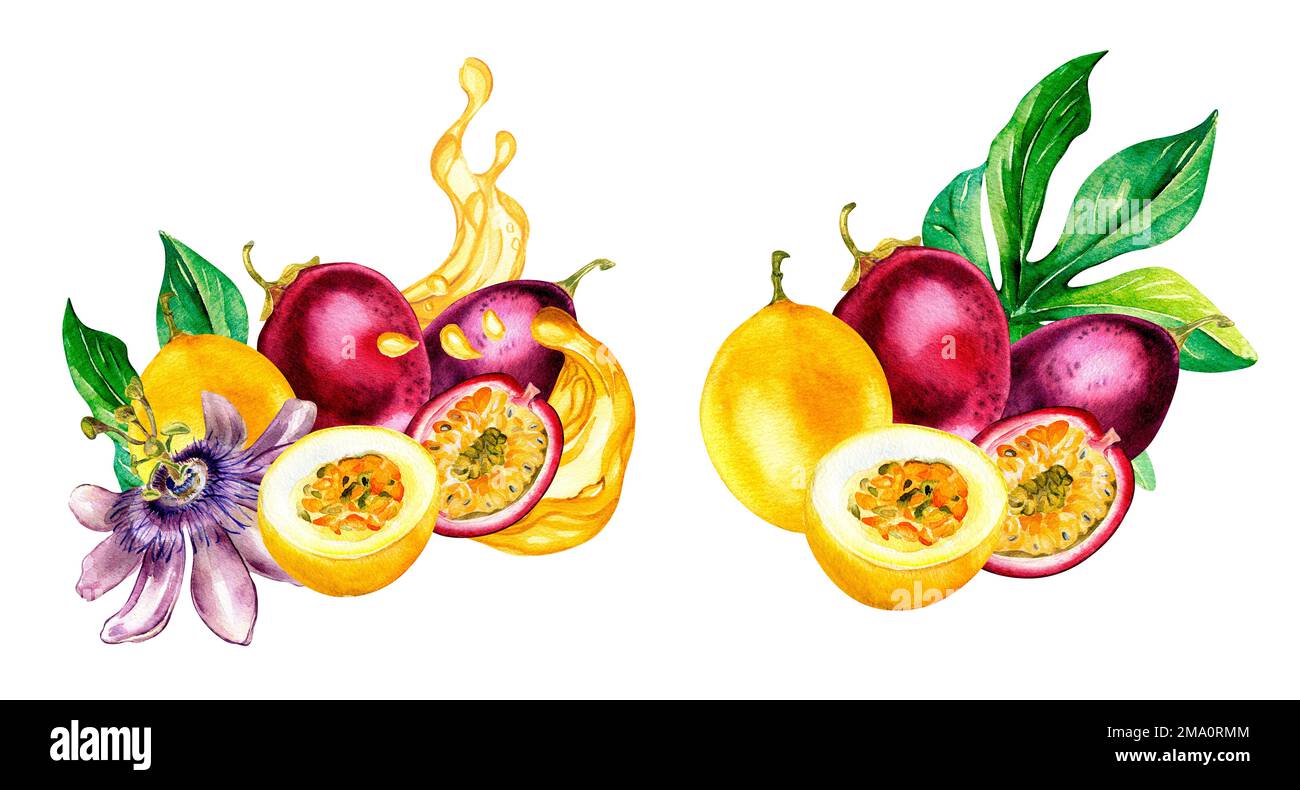 Composition of passion fruits and flower on leaf watercolor illustration isolated on white