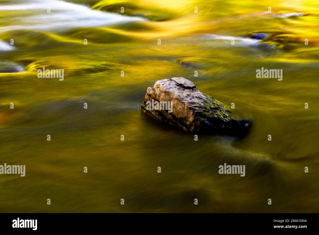 Stones in the river bed in the Wutach Gorge in the Black Forest, Baden-Württemberg, Germany Stock Photo