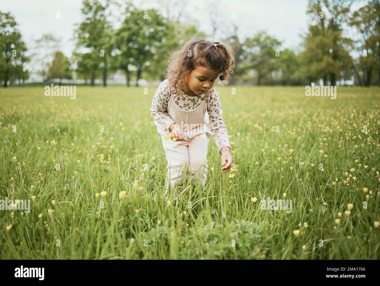 Girl child, field and flowers in nature, outdoor and learning for
