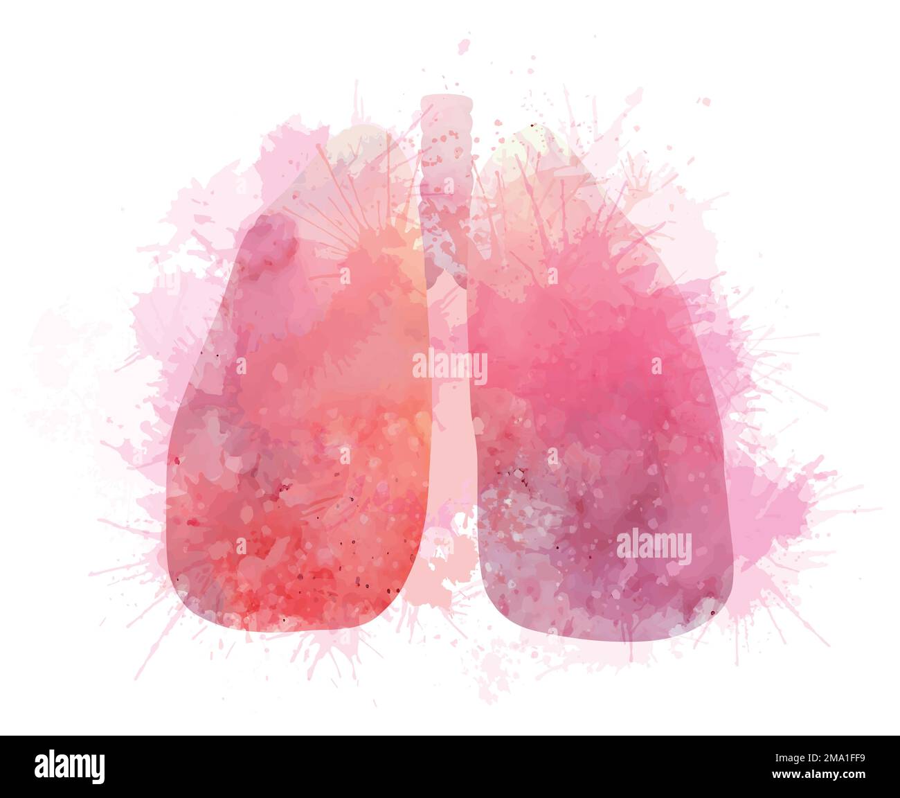 Anatomical watercolor illustration of human lungs with splashes