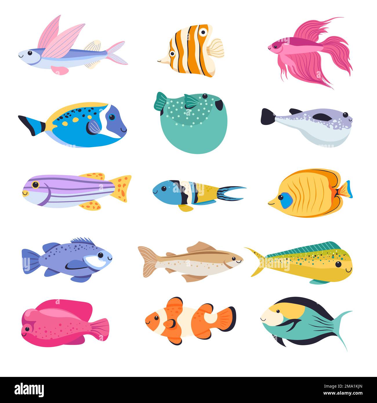 Fish types for aquarium, tropical species vector Stock Vector