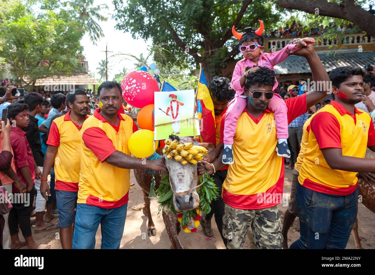 Kuilapalayam, India - 17th January 2023: Pongal Festival. The parade in the village before the cow race. Stock Photo