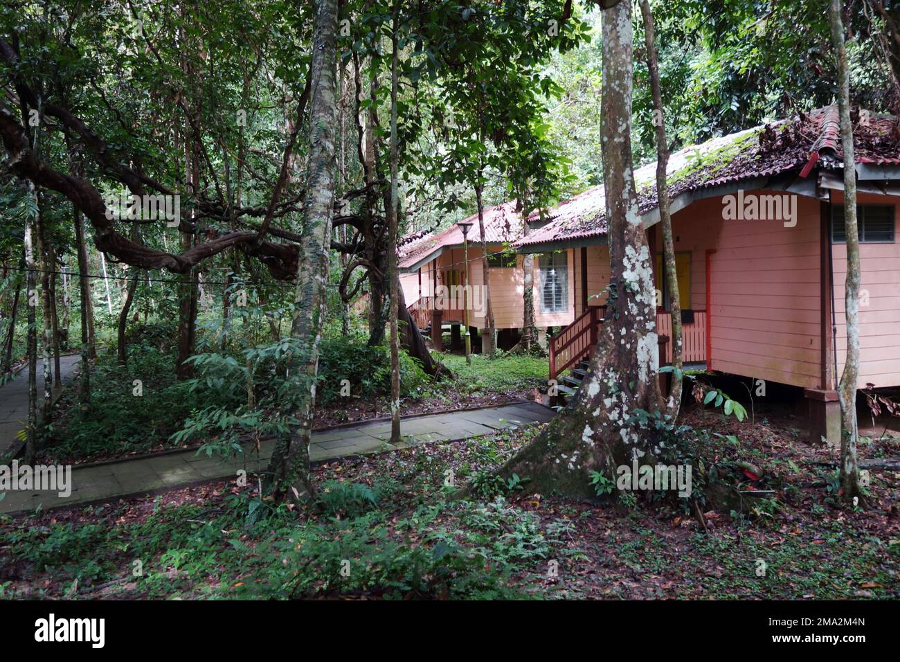 Accommodation cabins at Earthlodge Malaysia, Ulu Muda, Malaysia. No PR Stock Photo