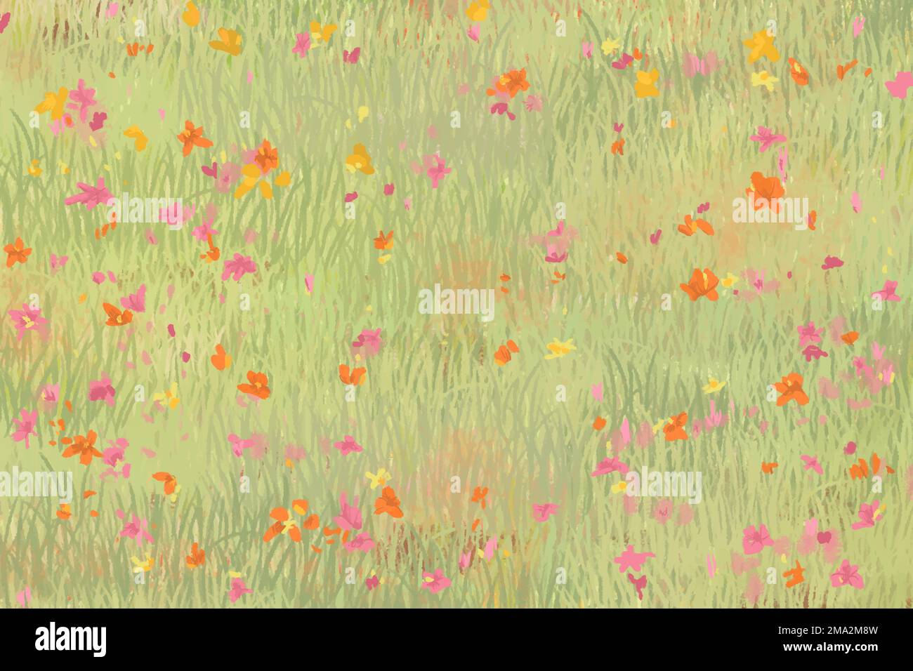 Poppy field vector sketch background bird eye view social media banner