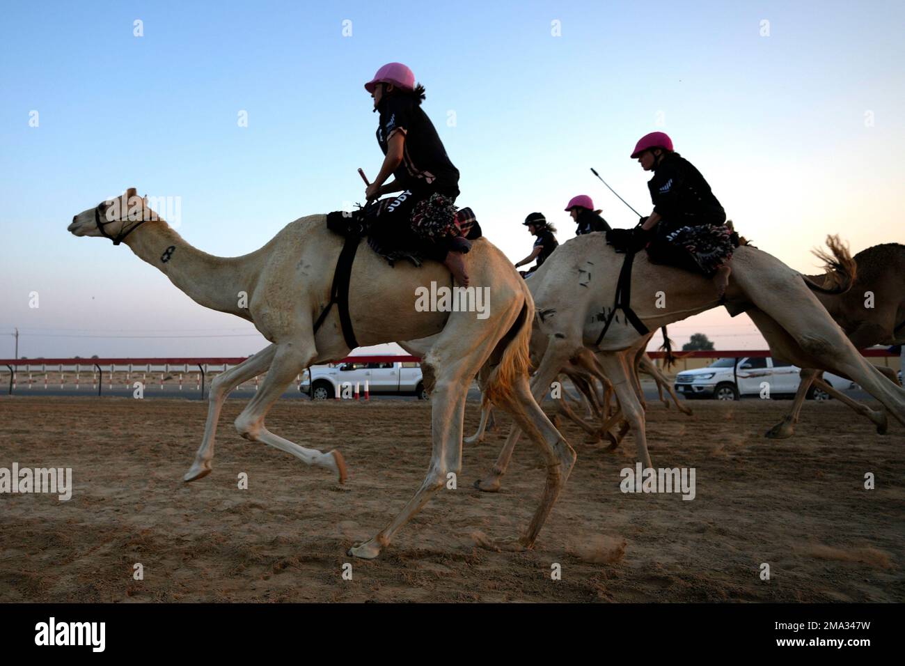 Women camel riders compete during the first race of the season ...