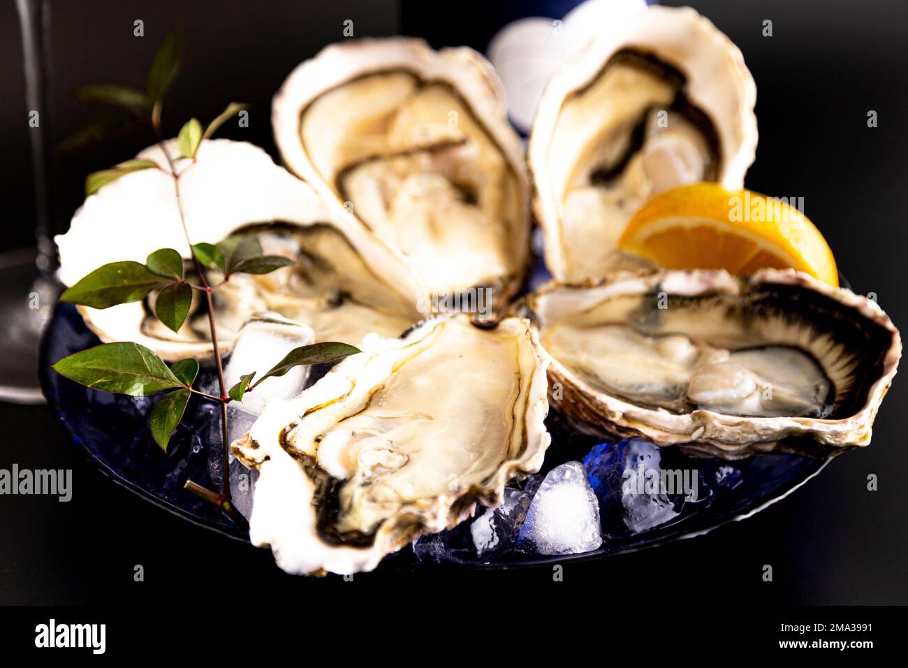 How to eat oysters Japanese style Stock Photo Alamy