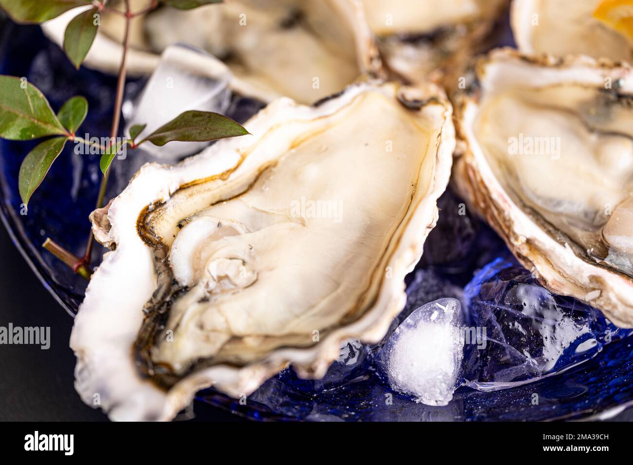 How to eat oysters Japanese style Stock Photo Alamy