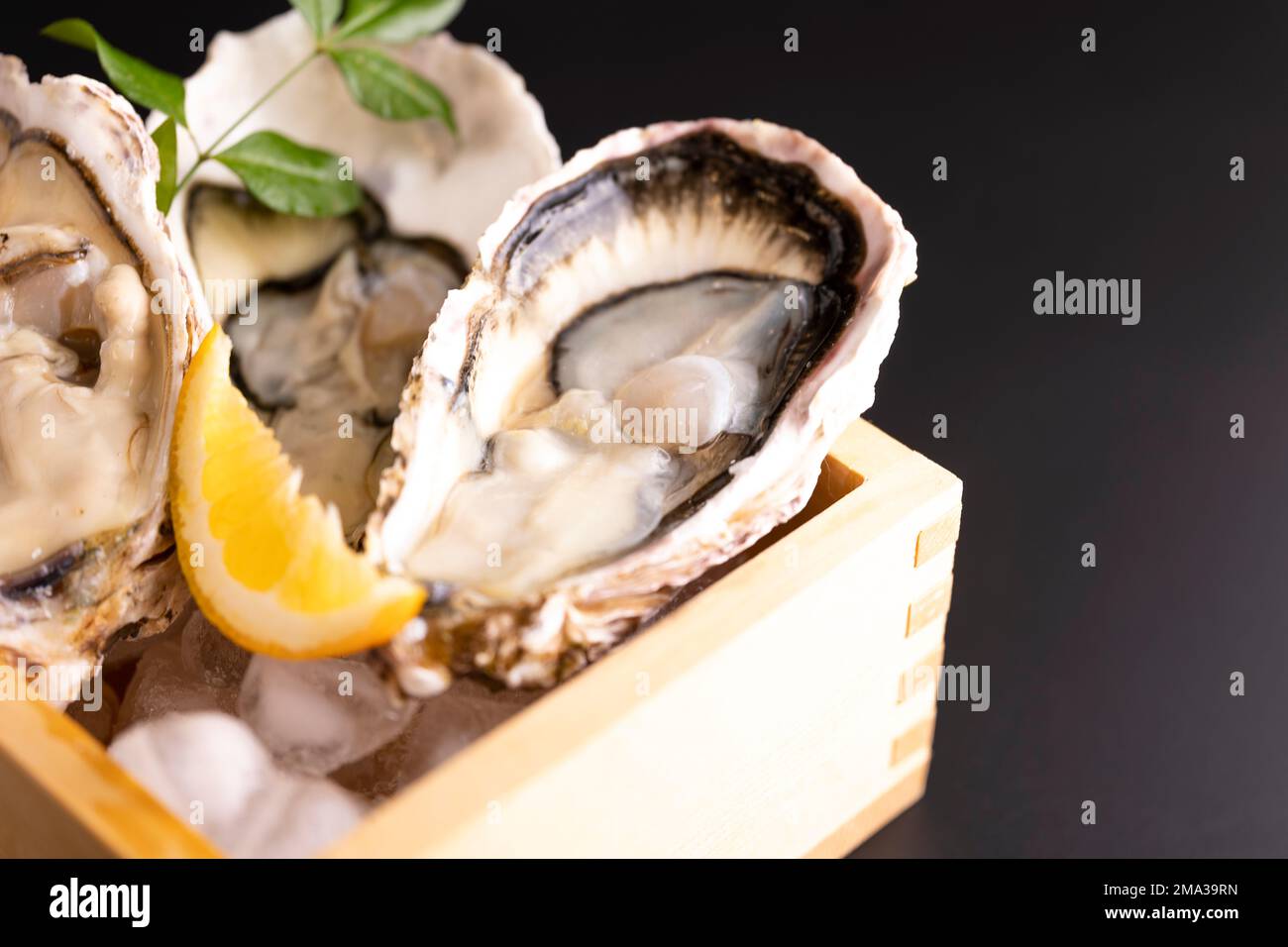 How to eat oysters Japanese style Stock Photo Alamy