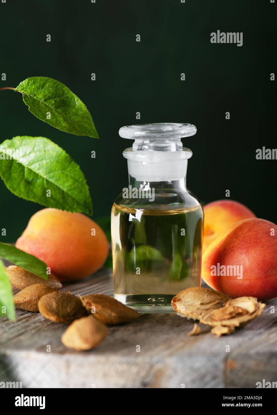 Apothecary glass of apricot kernel oil with apricot kernels and ripe