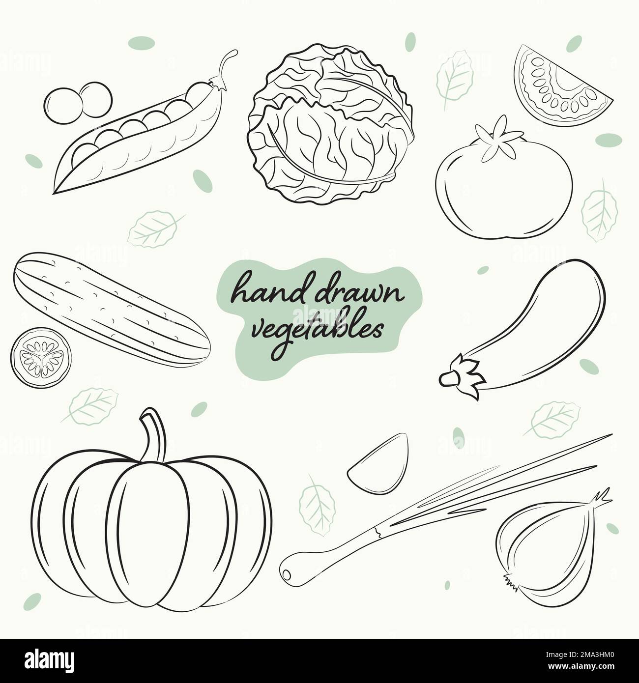 a set images of hand drawn fresh vegetables Stock Vector Image & Art Alamy
